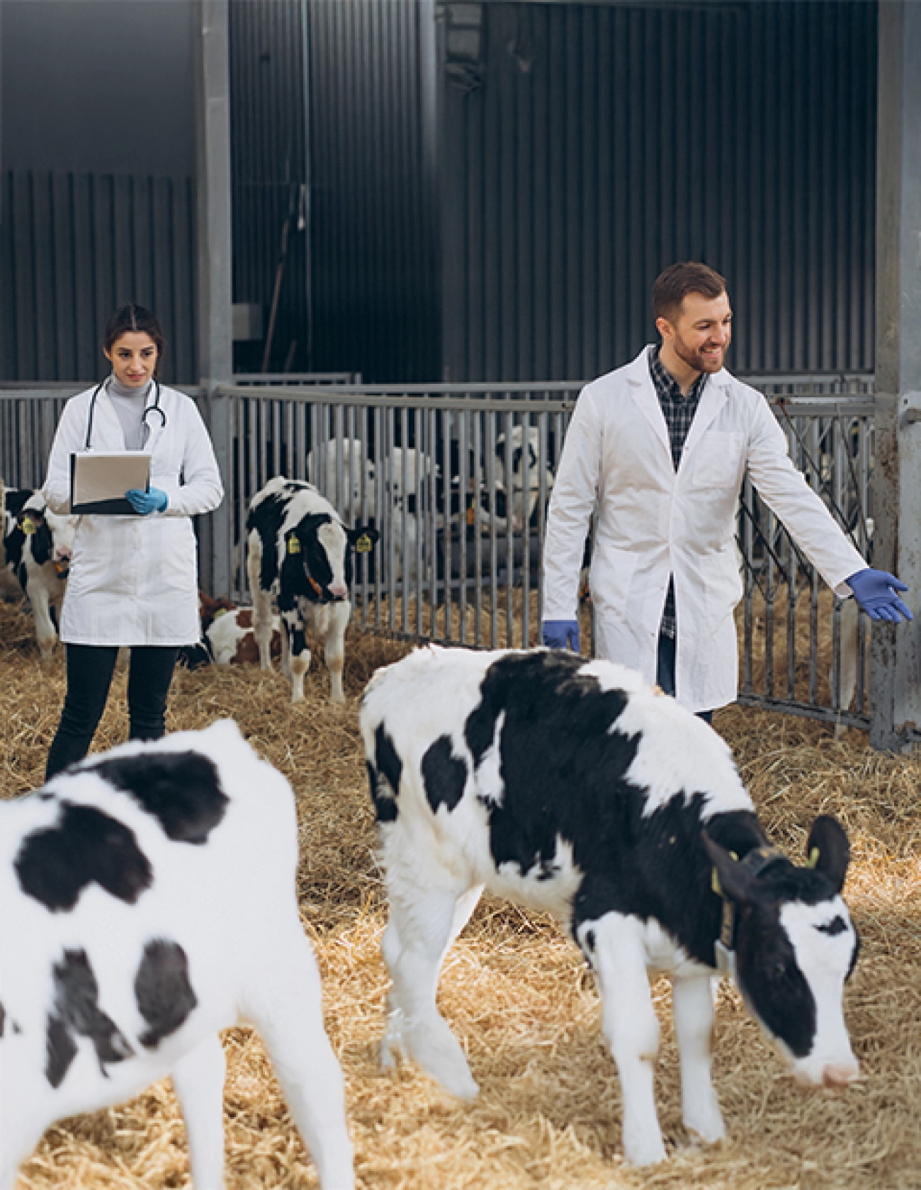 Üretİm ve Ar-Ge Çalışmalarının Başlaması