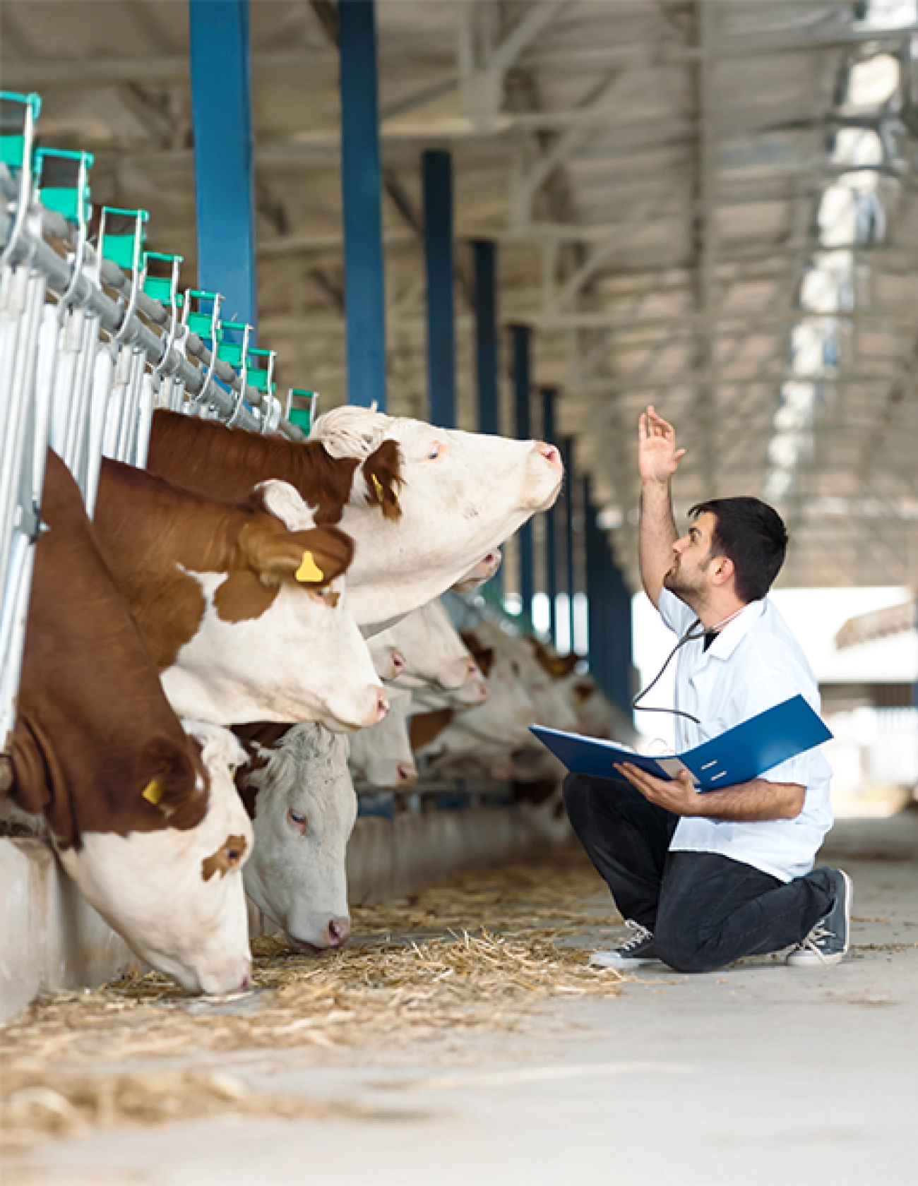 Yenİlİkçİ Ürünler ve Sektörde Güçlü Konum