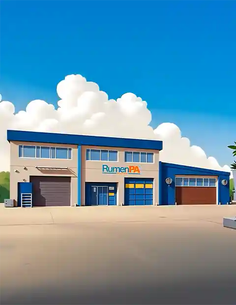 RumenPA’nın Kuruluşu